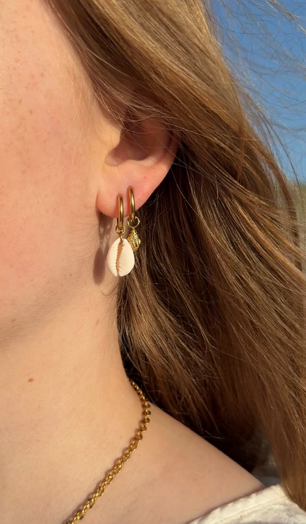 Seashell oorbellen