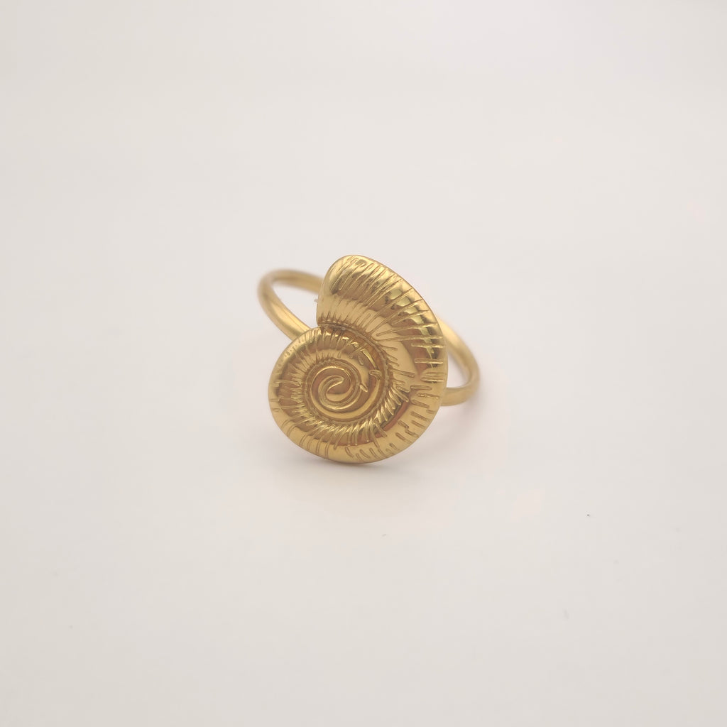 Beachy ring (1)