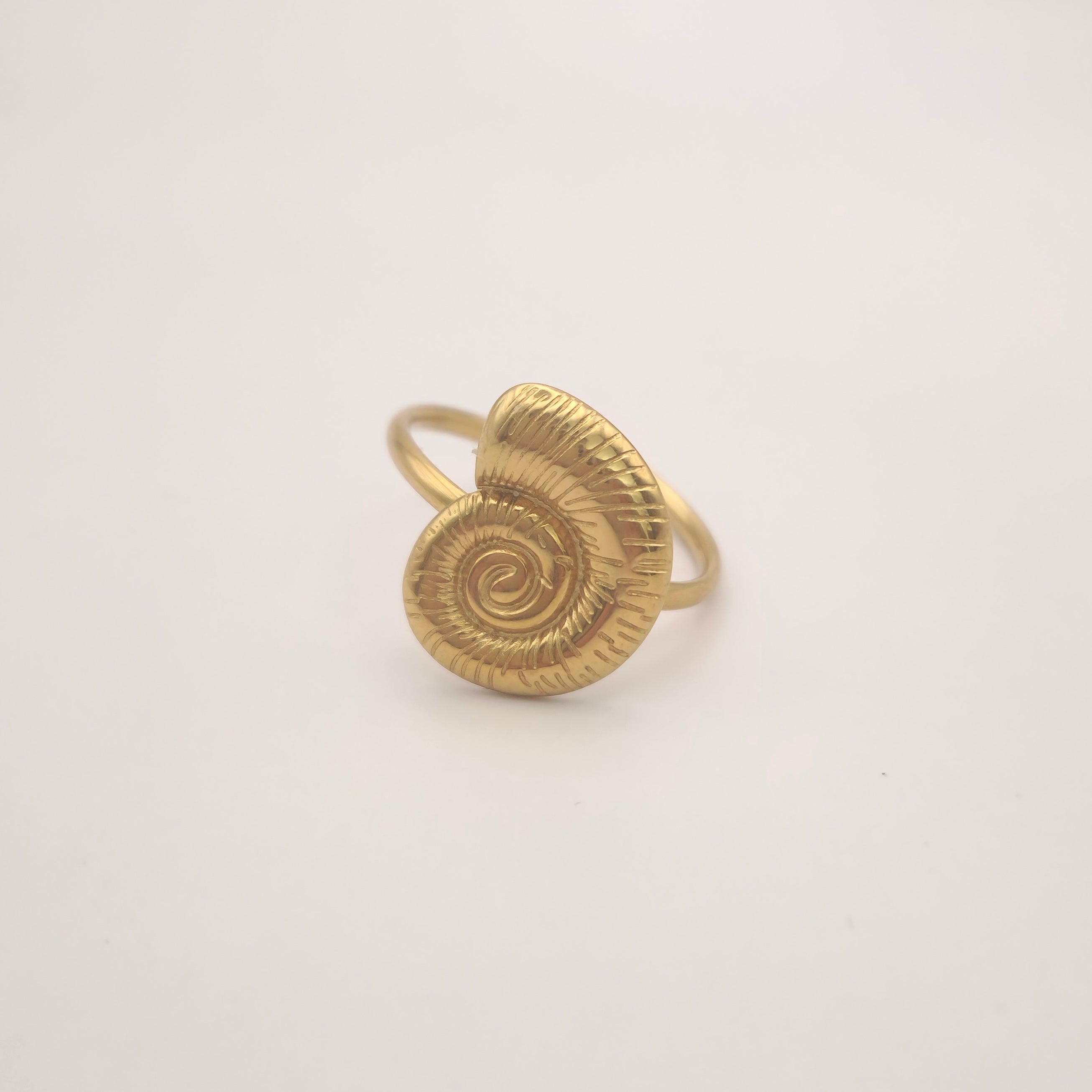 Beachy ring (1)